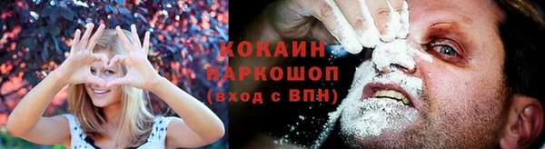 PSILOCYBIN Козловка