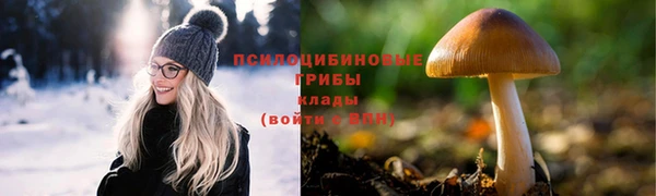 винт Кинешма