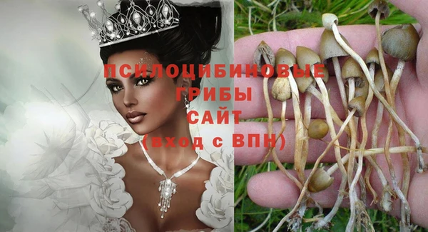 винт Кинешма