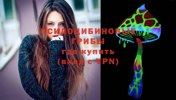 амф Козельск