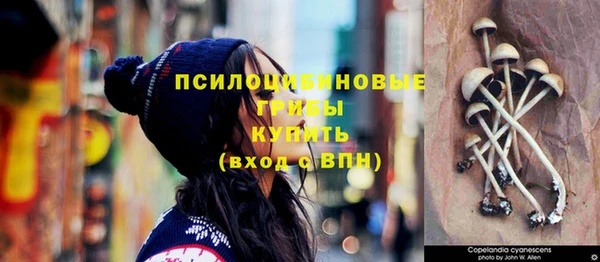 ПСИЛОЦИБИНОВЫЕ ГРИБЫ Киреевск