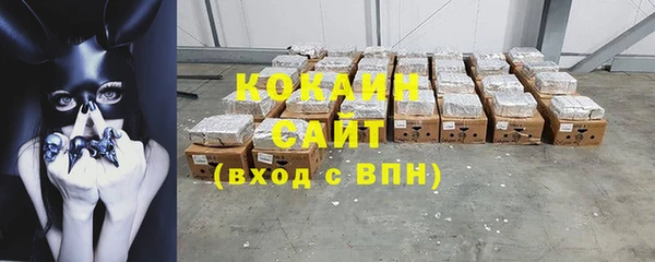 PSILOCYBIN Козловка