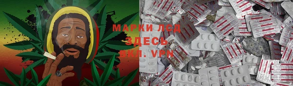 ПСИЛОЦИБИНОВЫЕ ГРИБЫ Киреевск