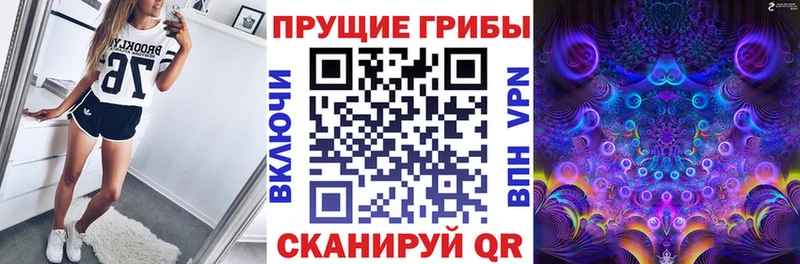 Купить где  Омск  Галлюциногенные грибы мицелий 